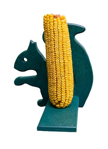Mr. Squirrel Feeder (corn not included)
