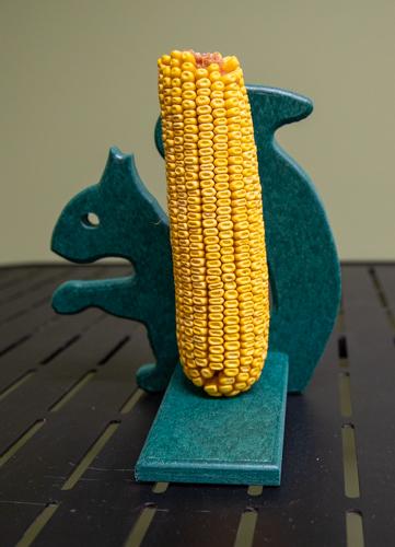 Mr. Squirrel Feeder with corn for squirrels 