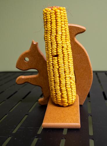 Squirrel feeder with corn - tan