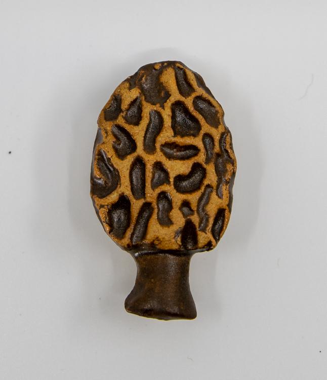 morel mushroom magnet