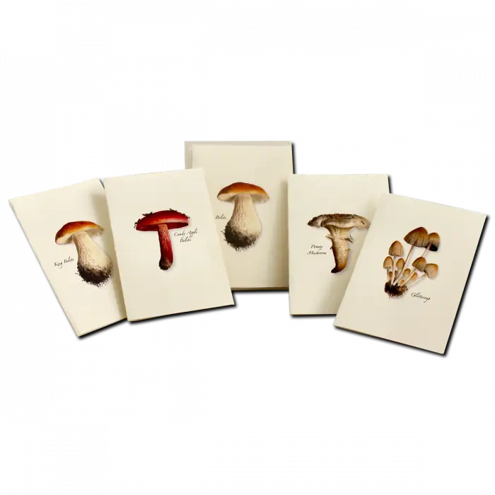 Mushroom Assortment Notecard Boxed Set