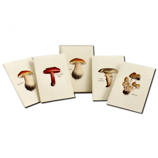 Mushroom Assortment Notecard Boxed Set