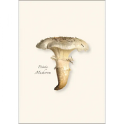 Mushroom Assortment Notecard Boxed Set - Potato Mushroom