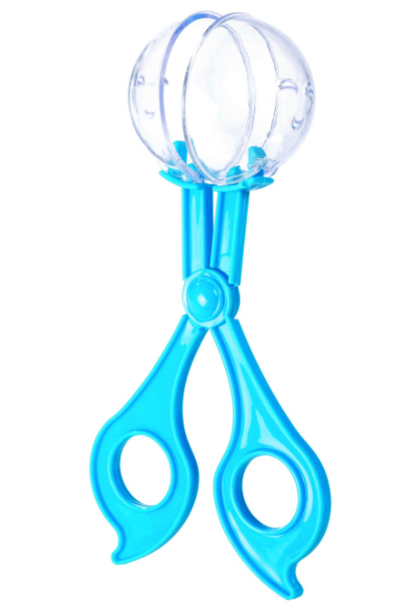 Nature Explorer Set - catcher