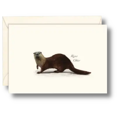 River Otter Notecard Boxed Set