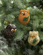 Ollie the Owl – 3 Pack - pine tree background