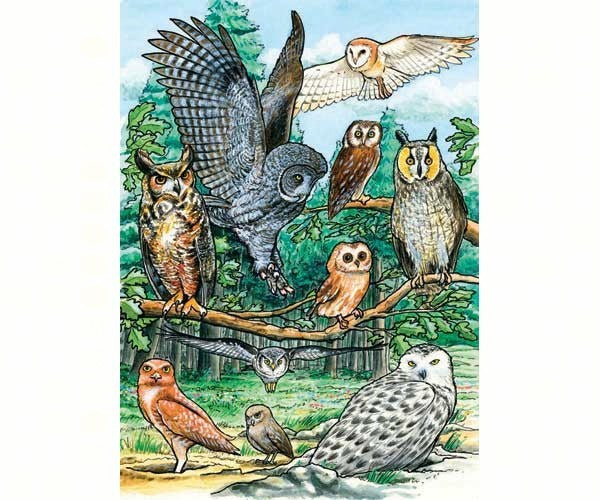 Cobble Hill North American Owl 35 Piece Tray Puzzle