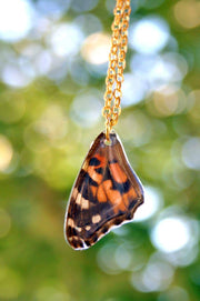 Painted Lady Butterfly Wing