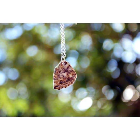 Real Painted Lady Butterfly Wing