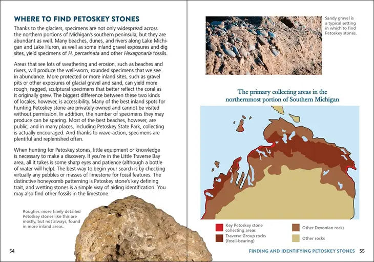 Petoskey Stone - sample pages