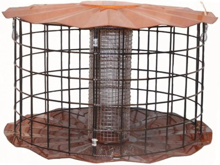 Barrier Guard Peanut and Sunflower Feeder