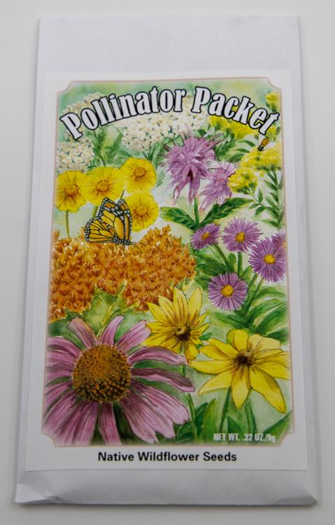 american seed pollinator wildflower blend Pollinator Seed Packet