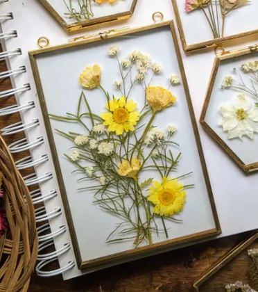 A handmade cottage: Pressed wild flowers in glass frames