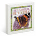 Red Admiral Butterfly 6" x 6" Box Art Sign
