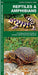 Reptiles and Amphibians - A Folding Pocket Guide to Familiar North American Species