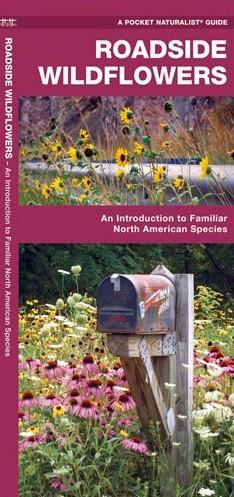 Roadside Wildflowers - An Introduction to Familiar North American Species