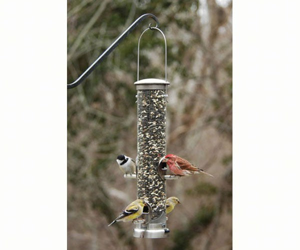 Quick-Clean Seed Tube Feeder -  Medium - Nickel