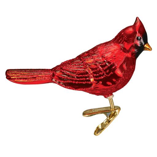 Shiny Red Northern Cardinal closeup