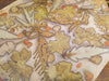 Silk Twill Scarf with Weld Dye - Sumac, Gervillea, Scented Geranium, eucalyptus, smoke bush