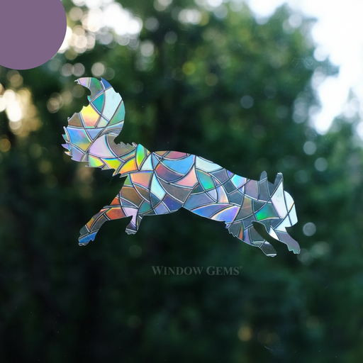 Squirrel Window Cling