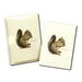 Gray Squirrel Notecard Boxed Set