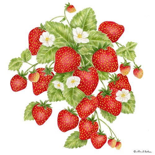 Strawberries - Single Flour Sack Towel