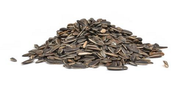 pile of striped sunflower seeds