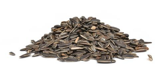 Striped Sunflower Seed 25lb bag