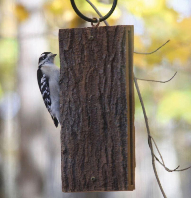 woodpecker suet feeder