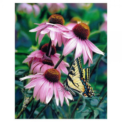 Dropping By 1000 Piece Puzzle - Swallowtail butterfly on Coneflower
