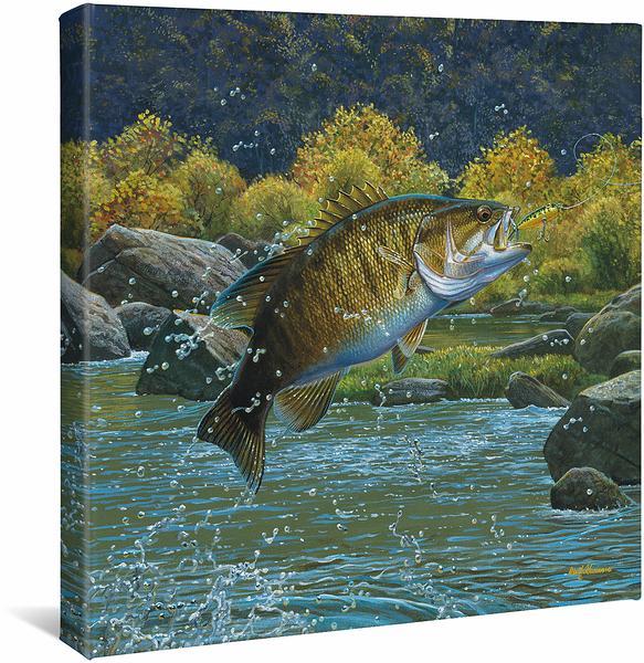 Tail Walking – Smallmouth Bass Gallery Wrapped Canvas