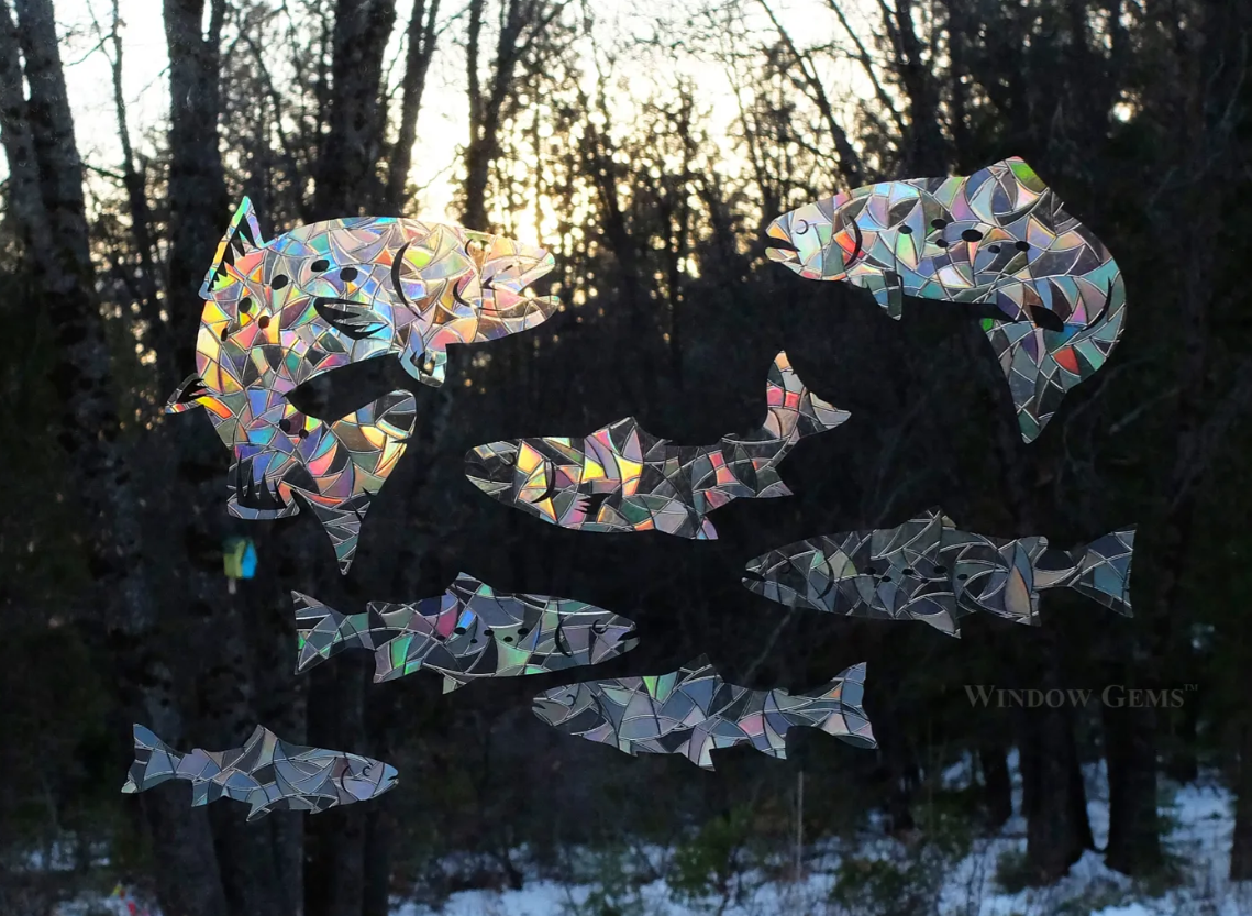 Rainbow Trout Window Cling - Thumbnail 3
