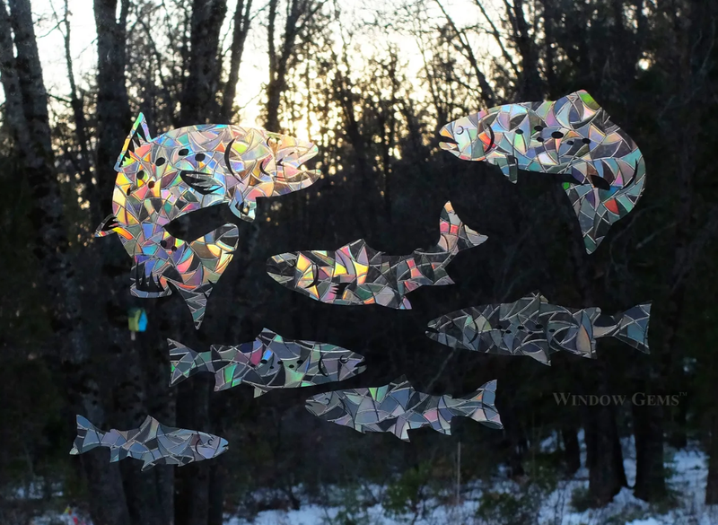 Rainbow Trout Window Cling all designs