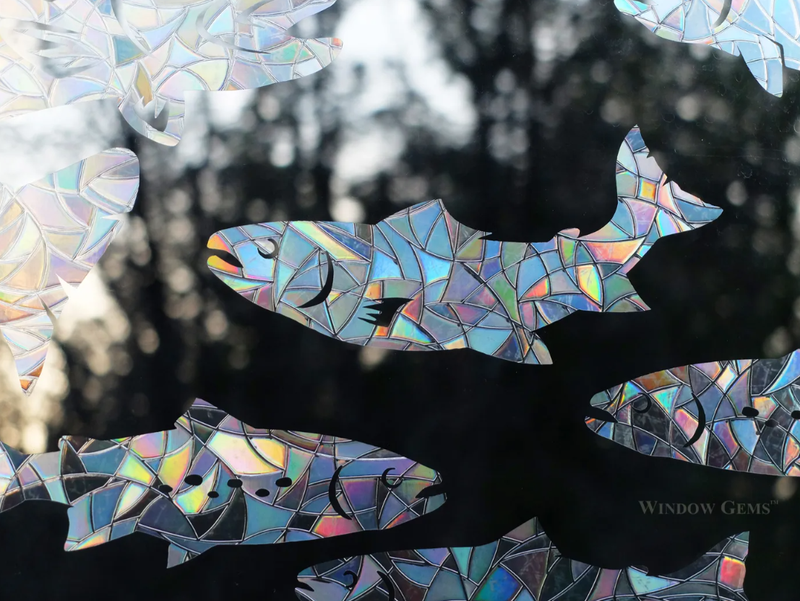 Rainbow Trout Window Gems