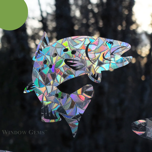 Rainbow Trout Window Cling