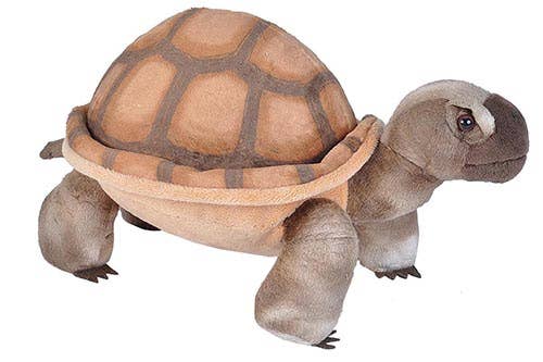 Desert Tortoise Stuffed Animal