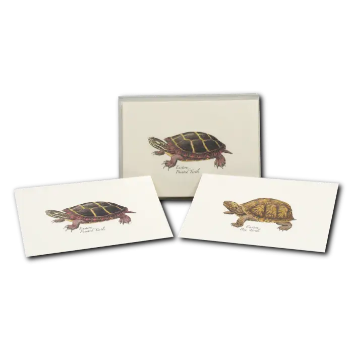 Freshwater Turtle Assortment Notecard Boxed Set