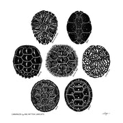 Carapaces Linoprint