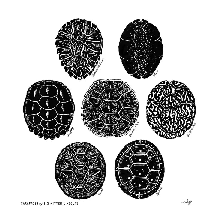 Carapaces Linoprint