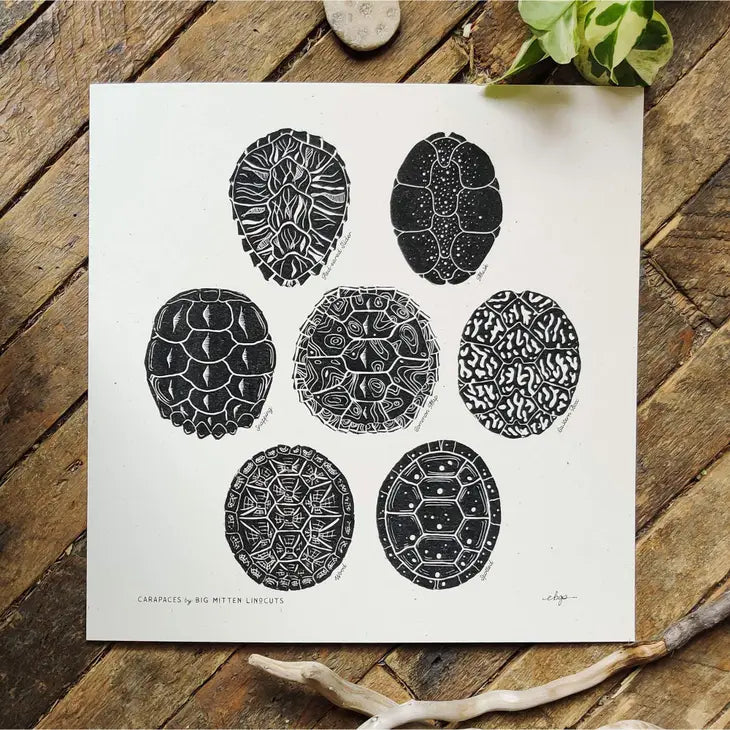 Carapaces Linoprint