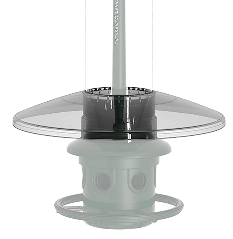 close up Squirrel Buster Plus Weather Guard