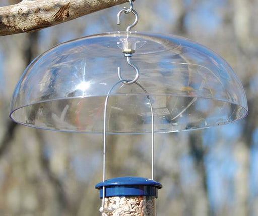 Weather Dome