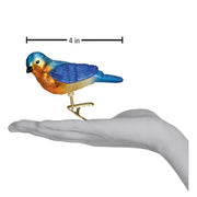 Western Bluebird Ornament scale comparison