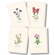 Meadow Wildflower Notecard Assortment
