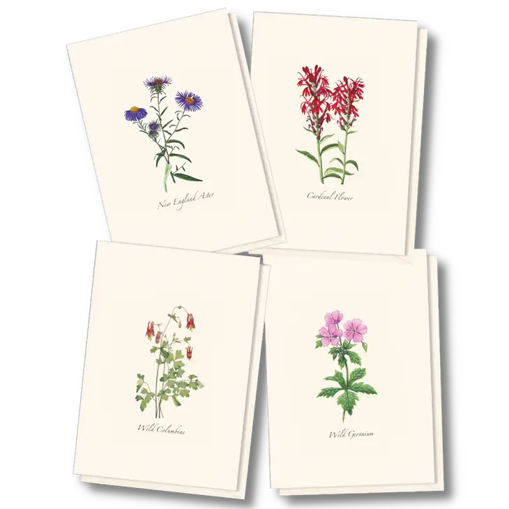 Meadow Wildflower Notecard Assortment