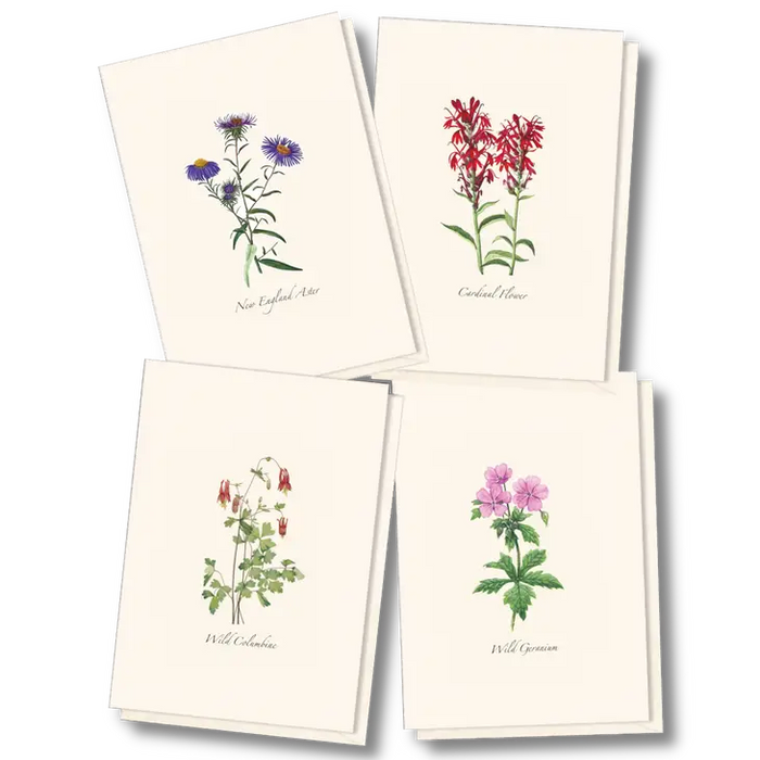 Meadow Wildflower Notecard Assortment