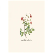 Meadow Wildflower Notecard Assortment - card sample