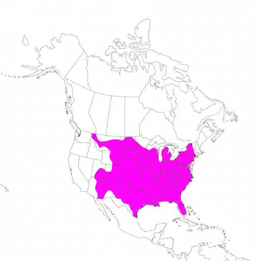 wild turkey range map