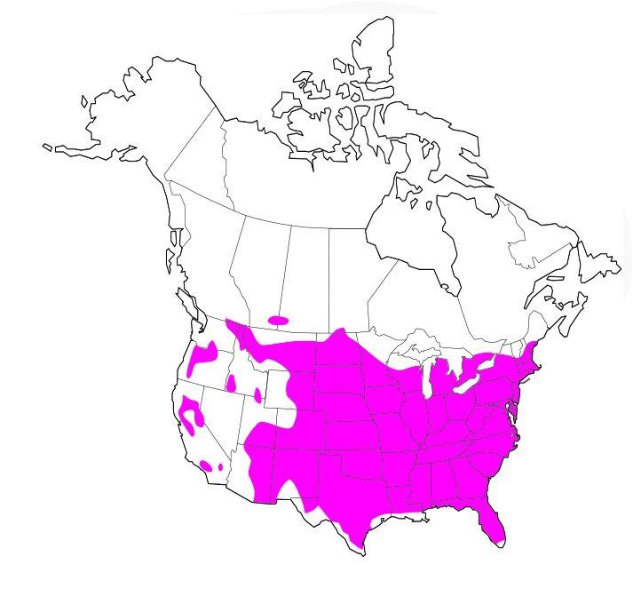 wild turkey range map
