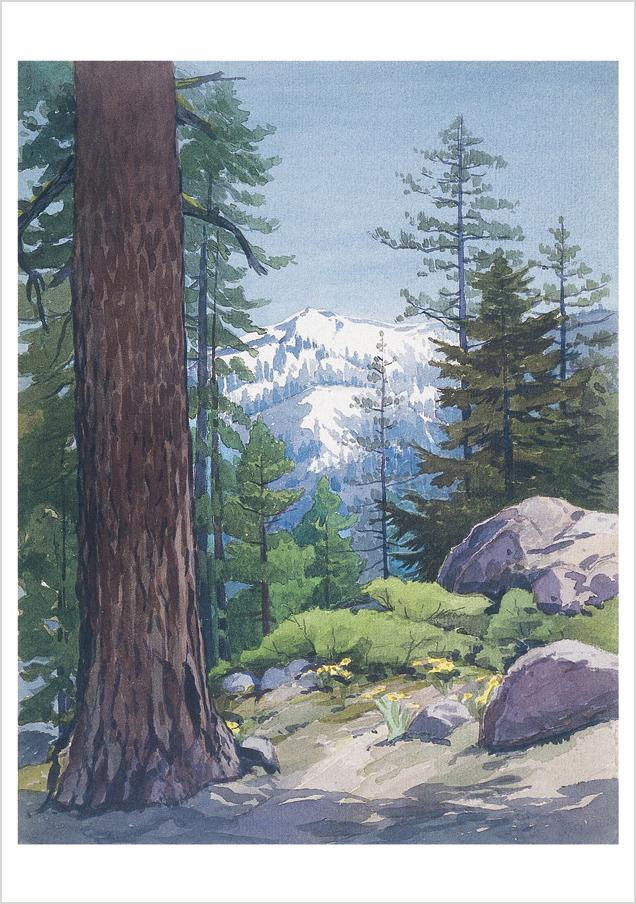 A Glimpse Thru the Pines, Deer Park, 1915 